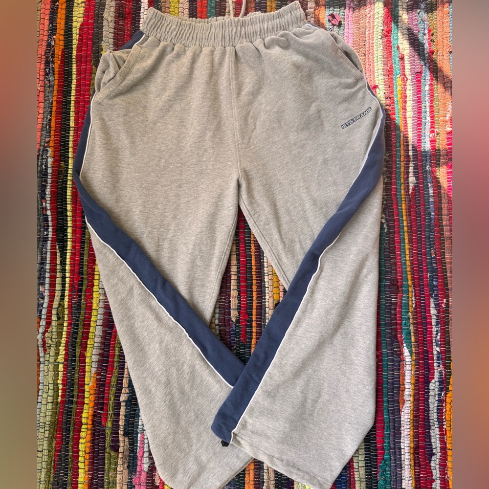 Urban Outfitters Gray Sweatpants with Blue Stripe